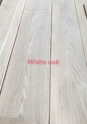 Ván gỗ sồi trắng